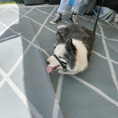 Diamond 4m x 2.4m recycled poly mat